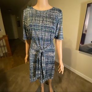 Enfocus Multiple Color Dress